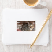 Savannah Cat Address Sticker (Insitu)