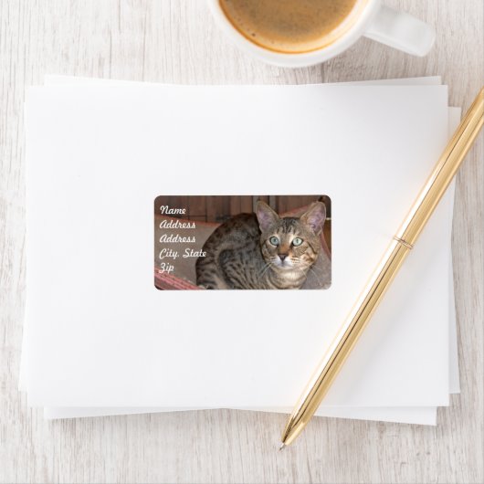 Savannah Cat Address Sticker (Insitu)
