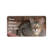 Savannah Cat Address Sticker (Voorkant)