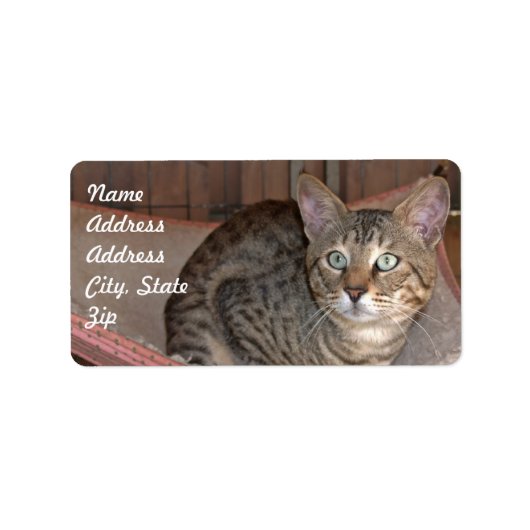 Savannah Cat Address Sticker (Voorkant)