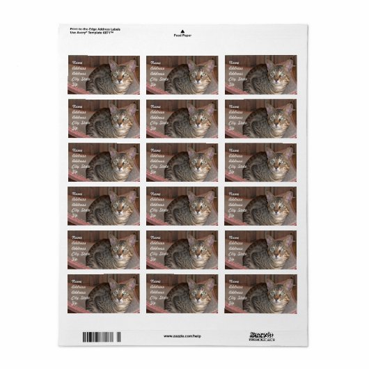 Savannah Cat Address Sticker (Full Sheet)
