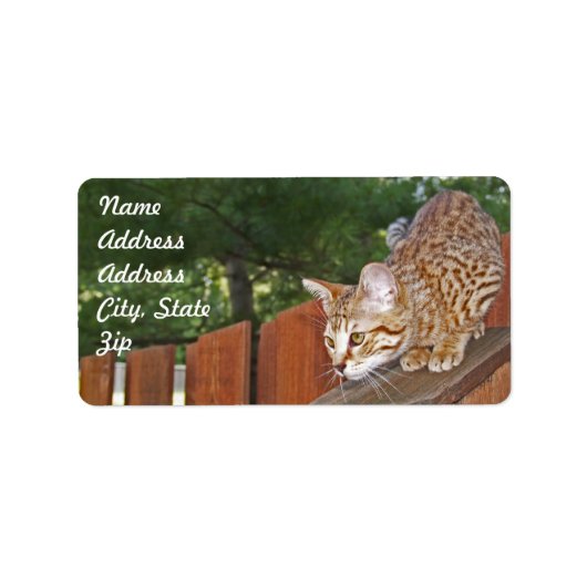 Savannah Cat Address Sticker (Voorkant)