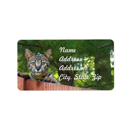 Savannah Cat Address Sticker (Voorkant)
