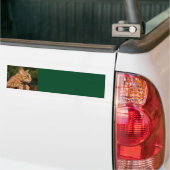 Savannah Cat Background Bumpersticker (Op Truck)