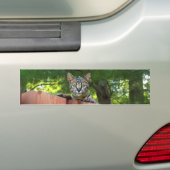 Savannah Cat Background Bumpersticker (Op auto)