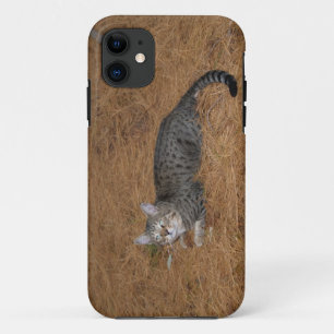 Savannah Cat iPhone 5 Case-Mate iPhone Case