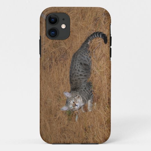 Savannah Cat iPhone 5 Case-Mate iPhone Case (Achterkant)