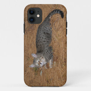 Savannah Cat iPhone 5 Case-Mate iPhone Case
