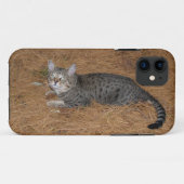 Savannah Cat iPhone 5 Case-Mate iPhone Case (Achterkant (horizontaal))