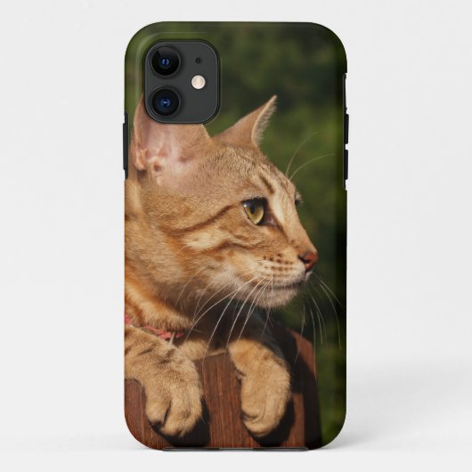 Savannah Cat iPhone 5 Case-Mate iPhone Case (Achterkant)