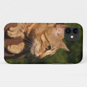 Savannah Cat iPhone 5 Case-Mate iPhone Case (Achterkant (horizontaal))