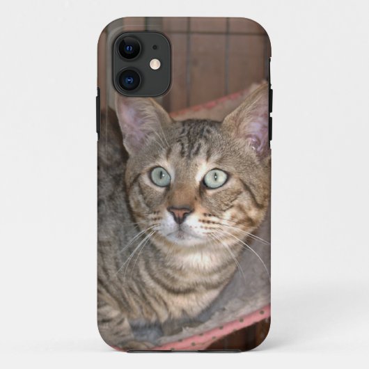 Savannah Cat iPhone 5 Case-Mate iPhone Case (Achterkant)