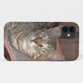 Savannah Cat iPhone 5 Case-Mate iPhone Case (Achterkant (horizontaal))