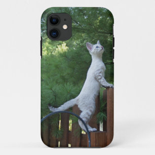 Savannah Cat iPhone 5 Custom Hoesje-Mate ID iPhone 11 Hoesje
