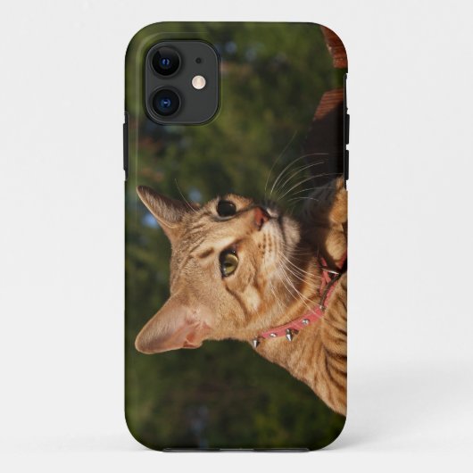 Savannah Cat iPhone 5 Custom Hoesje-Mate ID Case-Mate iPhone Case (Achterkant)
