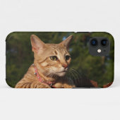 Savannah Cat iPhone 5 Custom Hoesje-Mate ID Case-Mate iPhone Case (Achterkant (horizontaal))