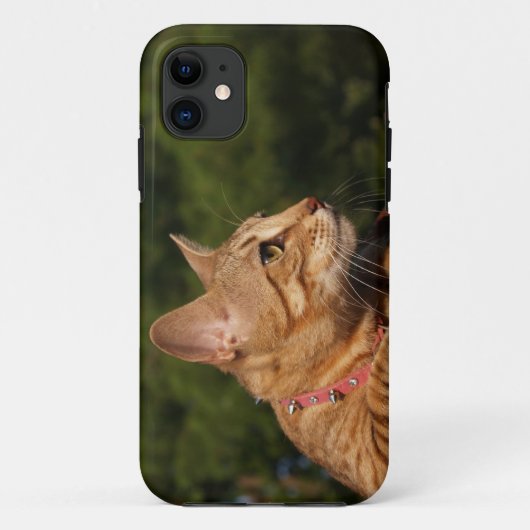 Savannah Cat iPhone 5 Custom Hoesje-Mate ID Case-Mate iPhone Case (Achterkant)