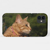 Savannah Cat iPhone 5 Custom Hoesje-Mate ID Case-Mate iPhone Case (Achterkant (horizontaal))