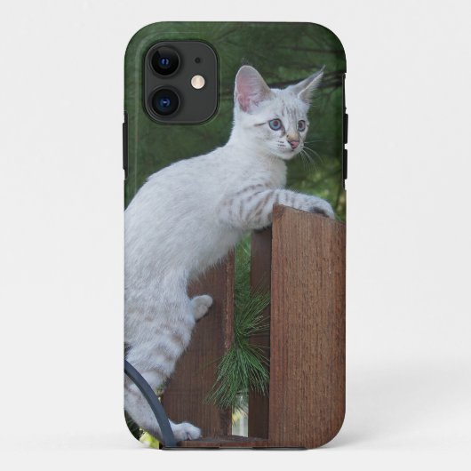 Savannah Cat iPhone 5 Hoesje-Mate Barely daar Case-Mate iPhone Case (Achterkant)