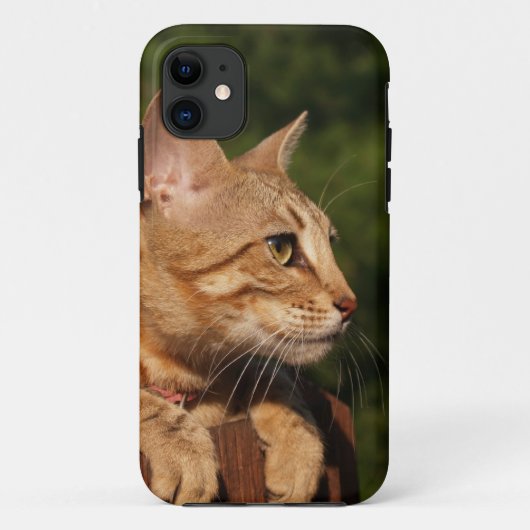 Savannah Cat iPhone 5 Hoesje-Mate Barely daar Case-Mate iPhone Case (Achterkant)