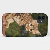 Savannah Cat iPhone 5 Hoesje-Mate Barely daar Case-Mate iPhone Case (Achterkant (horizontaal))