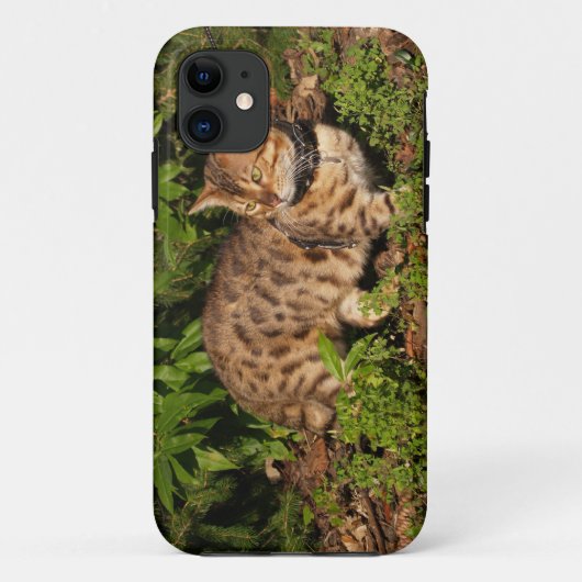Savannah Cat iPhone 5 Hoesje-Mate Barely daar Case-Mate iPhone Case (Achterkant)