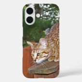 Savannah Cat iPhone case (Achterkant)