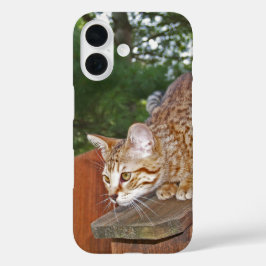 Savannah Cat iPhone case