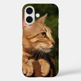 Savannah Cat iPhone case