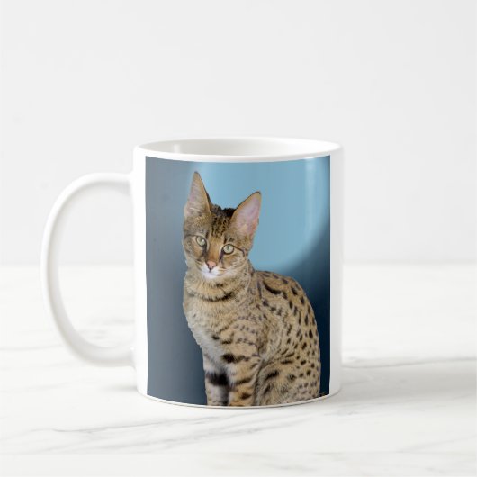 Savannah Cat Koffiemok (Links)