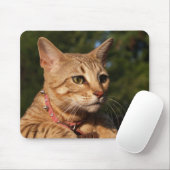 Savannah Cat Mousepad Muismat (Met muis)