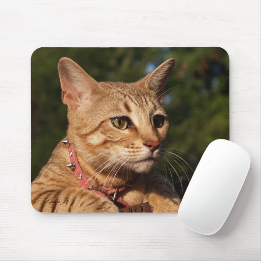 Savannah Cat Mousepad Muismat (Met muis)