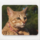 Savannah Cat Mousepad Muismat (Voorkant)