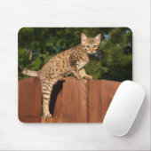 Savannah Cat Mousepad Muismat (Met muis)