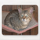 Savannah Cat Mousepad Muismat (Voorkant)