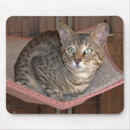 Savannah Cat Mousepad Muismat