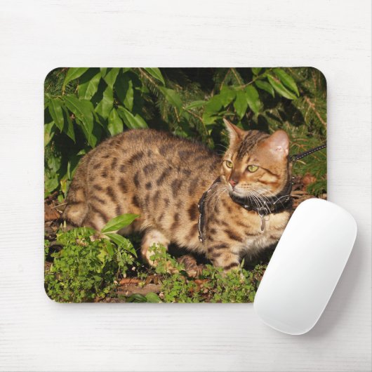 Savannah Cat Mousepad Muismat (Met muis)