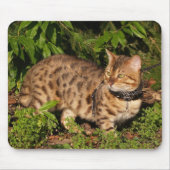Savannah Cat Mousepad Muismat (Voorkant)