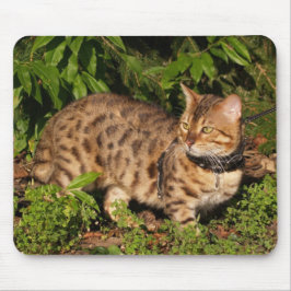 Savannah Cat Mousepad Muismat