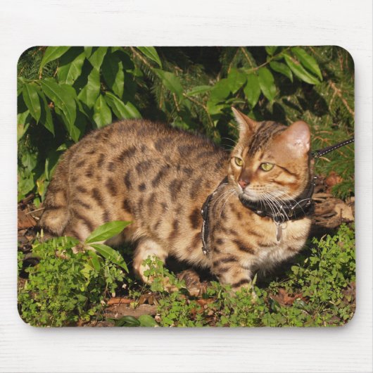 Savannah Cat Mousepad Muismat (Voorkant)