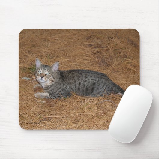 Savannah Cat Mousepad Muismat (Met muis)