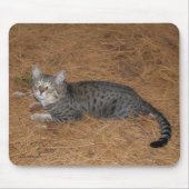 Savannah Cat Mousepad Muismat (Voorkant)