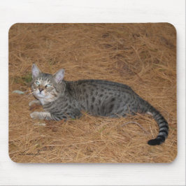 Savannah Cat Mousepad Muismat