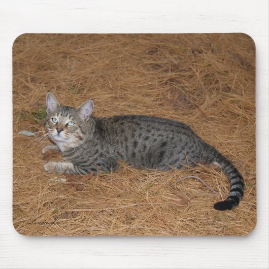 Savannah Cat Mousepad Muismat (Voorkant)