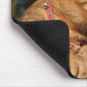 Savannah Cat Mousepad Muismat (Hoek)