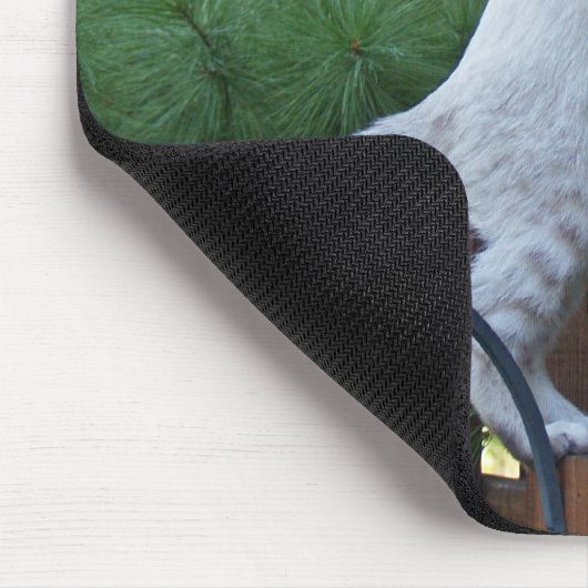 Savannah Cat Mousepad Muismat (Hoek)