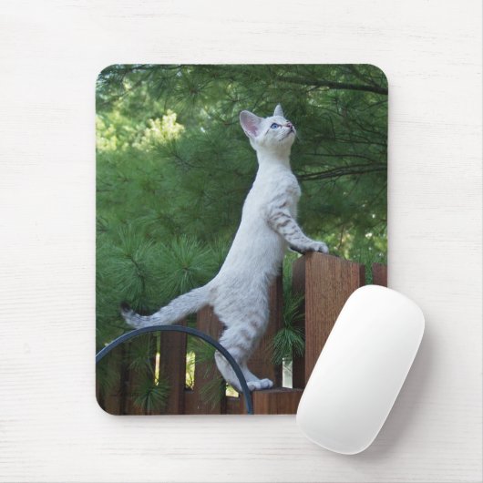 Savannah Cat Mousepad Muismat (Met muis)