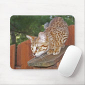Savannah Cat Mousepad Muismat (Met muis)