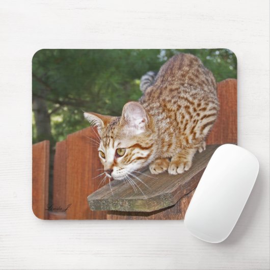 Savannah Cat Mousepad Muismat (Met muis)
