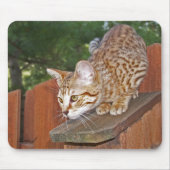 Savannah Cat Mousepad Muismat (Voorkant)